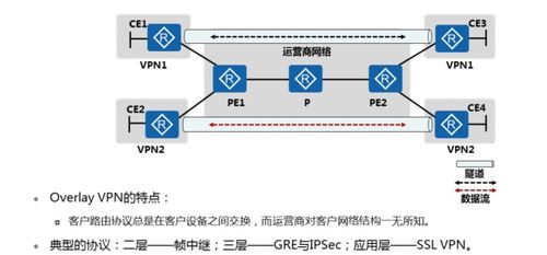 mpls 虛擬專用網絡技術原理與配置